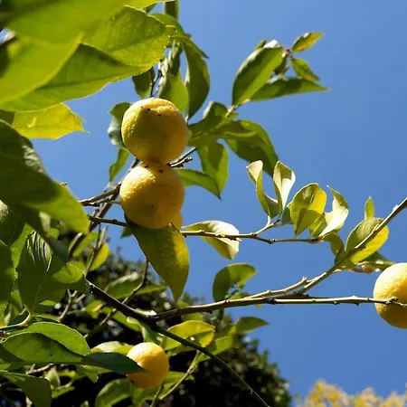 Holiday home Toldino House 4 Min By Car To *