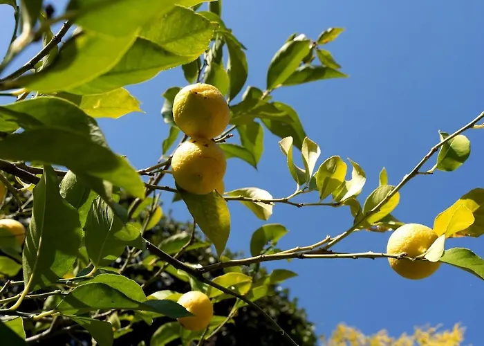 Semesterbostad Toldino House 4 Min By Car To *